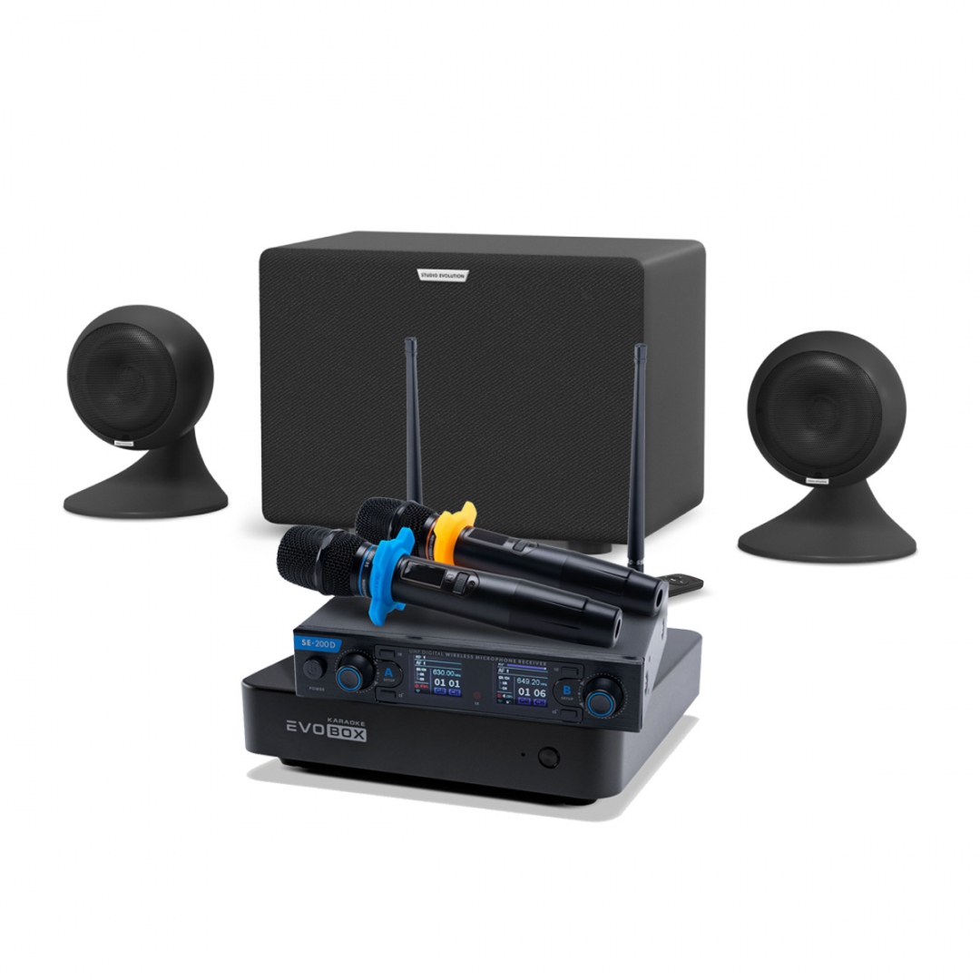 караоке-комплект EVOBOX + EvoSound Sphere 2.1 в Арамиле