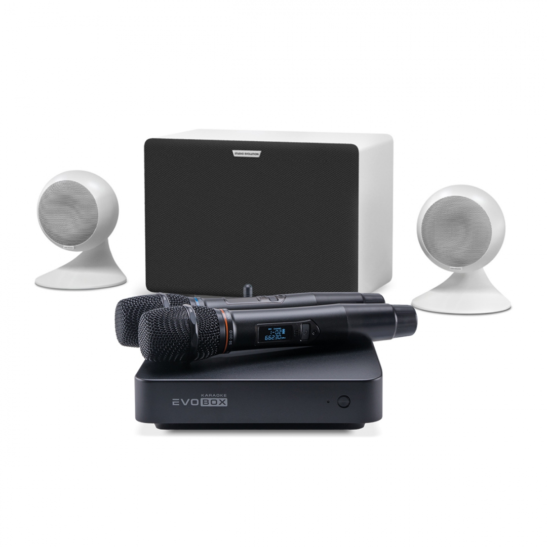 караоке-комплект EVOBOX Classic + EvoSound Sphere 2.1 в Арамиле