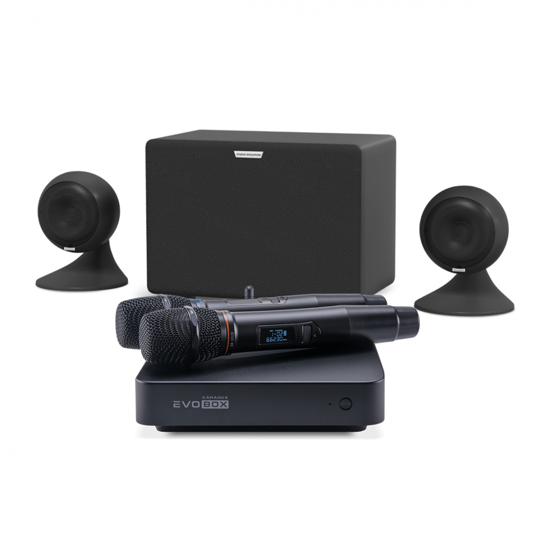 караоке-комплект EVOBOX Plus + EvoSound Sphere 2.1 в Арамиле