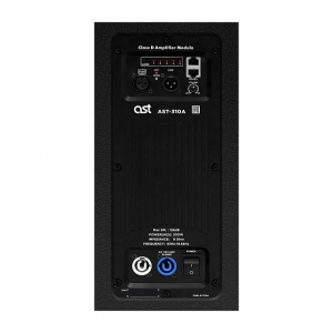 Активная акустическая система AST-310A в Арамиле