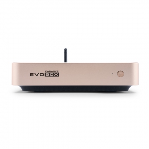 EVOBOX Plus караоке-система для дома в Арамиле