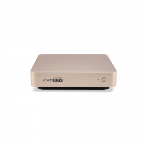 EVOBOX с микрофонами в Арамиле